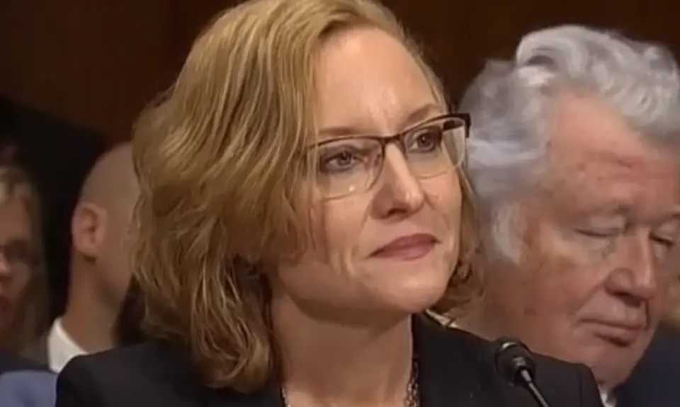 Trump-appointed judge Joan Larsen