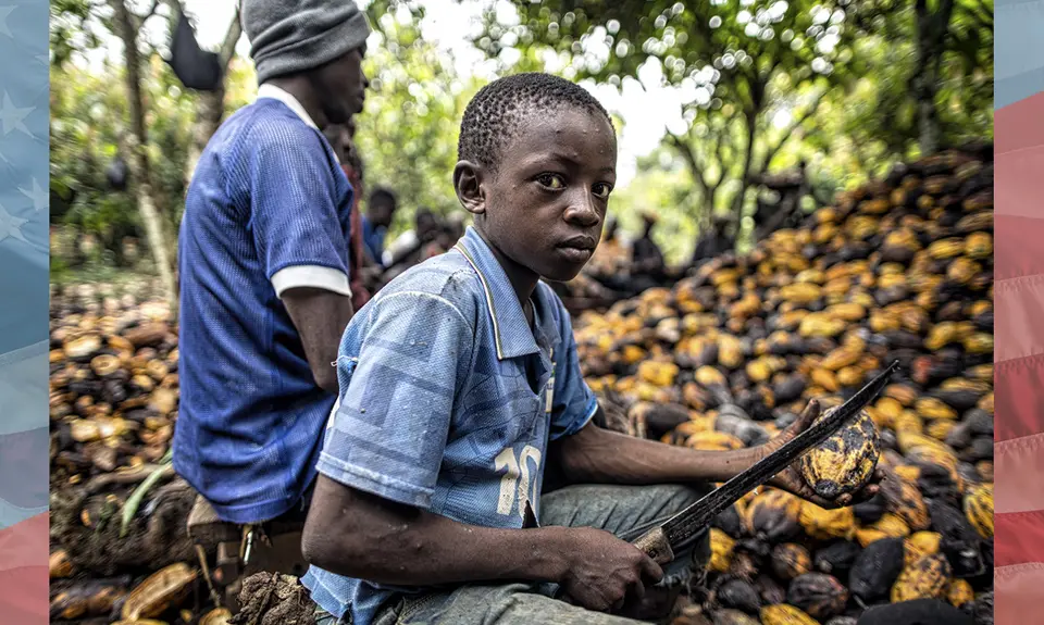 A child uses a knife while working on a cocoa farm