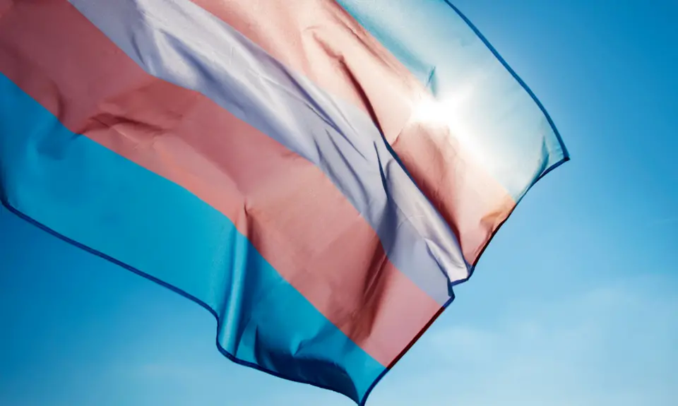 A picture of the transgender flag against a blue sky.