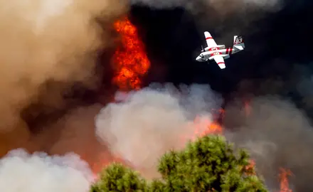 Plane flying over flames in forest