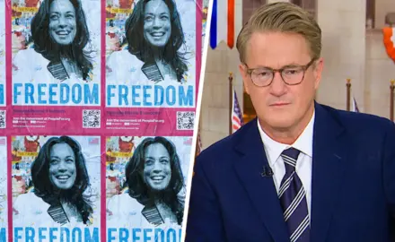 MSNBC features Victoria Cassinova's posters of Kamala Harris