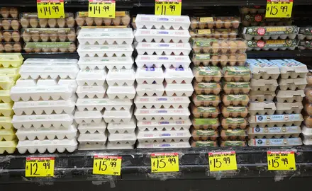 Eggs on a shelf with price tags reading 15.99