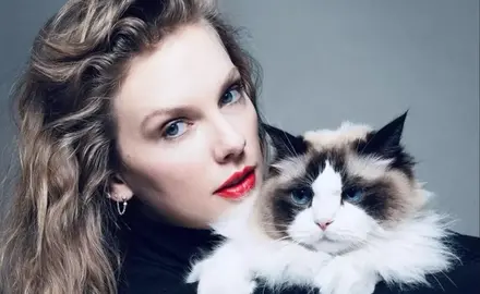 Taylor Swift