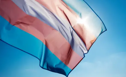 A picture of the transgender flag against a blue sky.