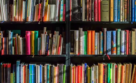 Brightly colored books on a bookshelf.