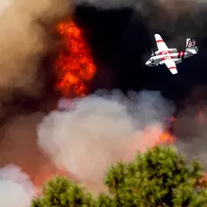 Plane flying over flames in forest