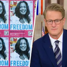 MSNBC features Victoria Cassinova's posters of Kamala Harris