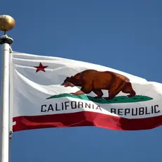 Flag of California