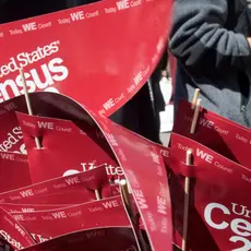 Small red, triangular flags that say "United States Census"