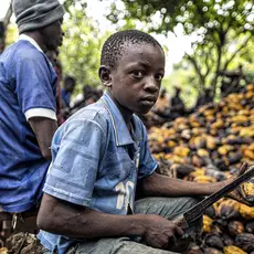 A child uses a knife while working on a cocoa farm