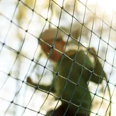 A child jumps rope behind a net