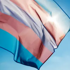 A picture of the transgender flag against a blue sky.