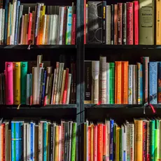 Brightly colored books on a bookshelf.