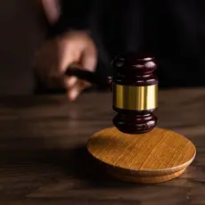 A hand holding a gavel